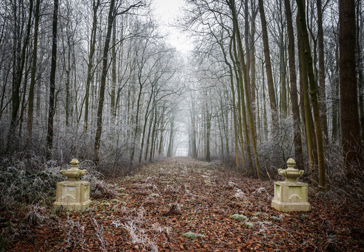 Landgoed Oud Amelisweerd gehuld in bevroren mist