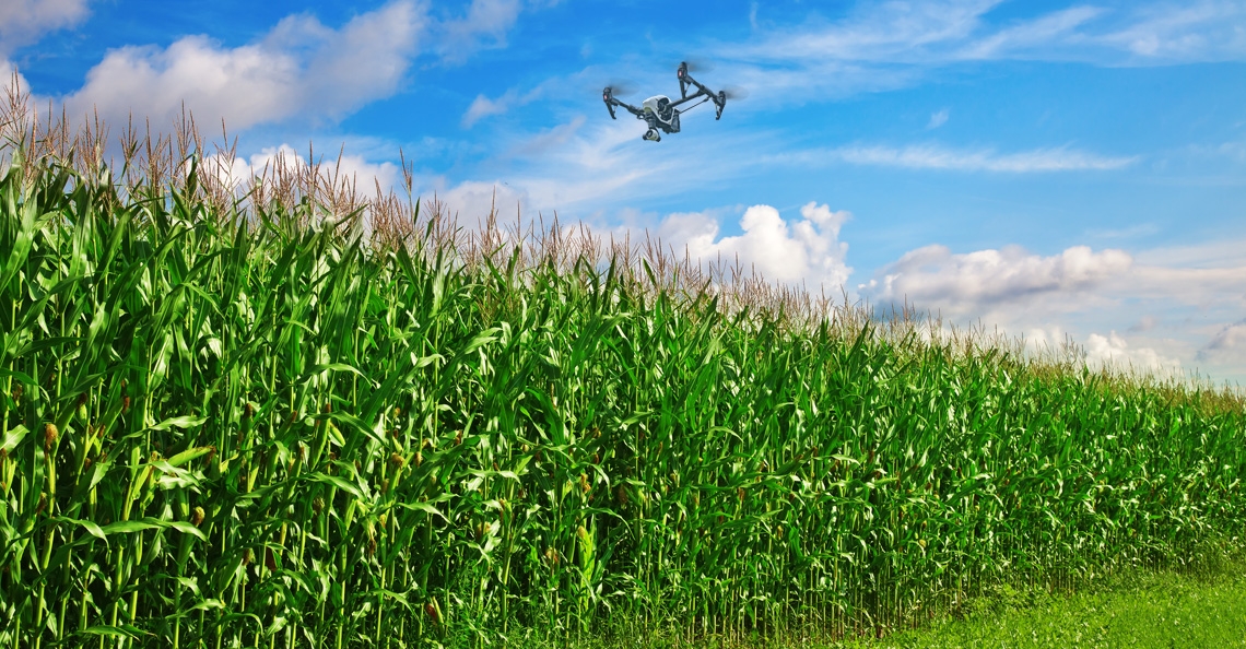 1510830582-drone-wietplantages-opsporen-maisvelden-boeren-limburg-2017.jpg