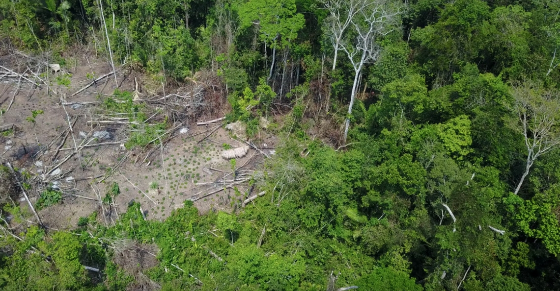 1535359785-dronebeelden-tonen-geisoleerde-stam-in-brazlie-2018.jpg