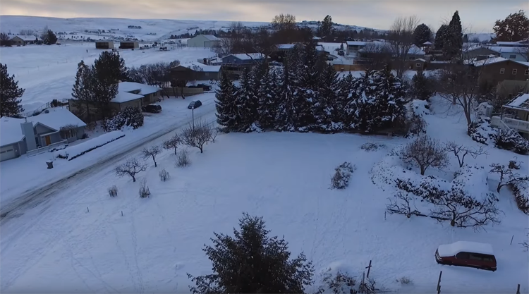 Drone filmt hert in de sneeuw